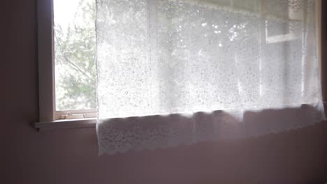 window with views from the room to the garden is recorded by a holiday in autumn afternoon with chill and relax vibe