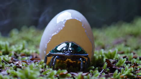 emerald beetle emerging from egg