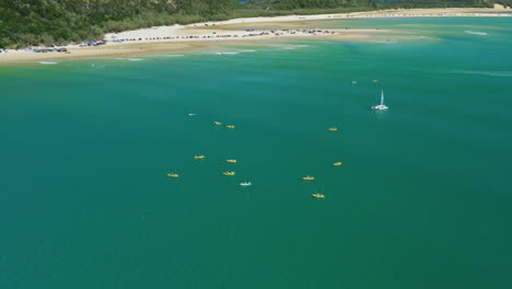 Aerial-Drone-Flyover-Kayakers-Paddling-In-Blue-Ocean-Off-Sandy-Beach-Shore,-Australia-4K