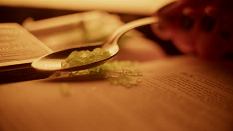 antique book with green crystals