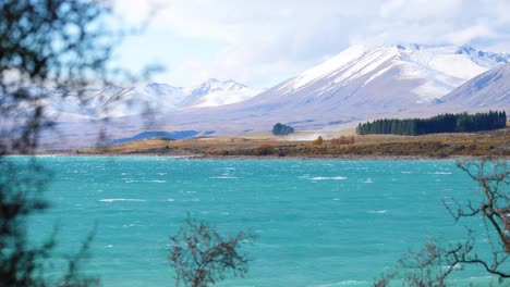 Wide shot of Lake Tekapo’s turquoise water, snow-capped mountains, and pine forest, with foreground branches swaying in bright natural daylight