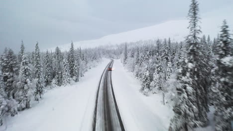 在雪地森林景觀中間的孤立的冬季道路上飛在車後面