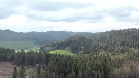 panorama of pine trees, farm, and mountain range in summer in indre fosen, trondelag, norway