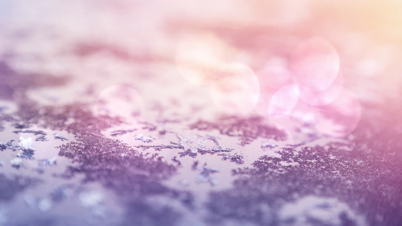 겨울에 눈과 얼음으로  ⁇ 인 건조한 잎의 활성화와 밝은 반점이 있습니다.