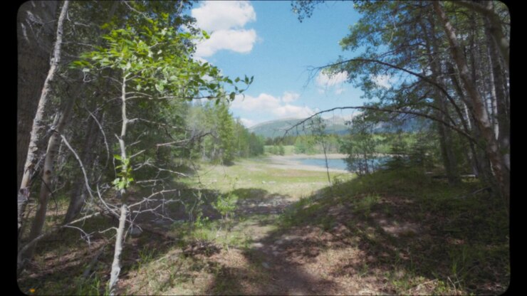Walking near the lake and the mountains