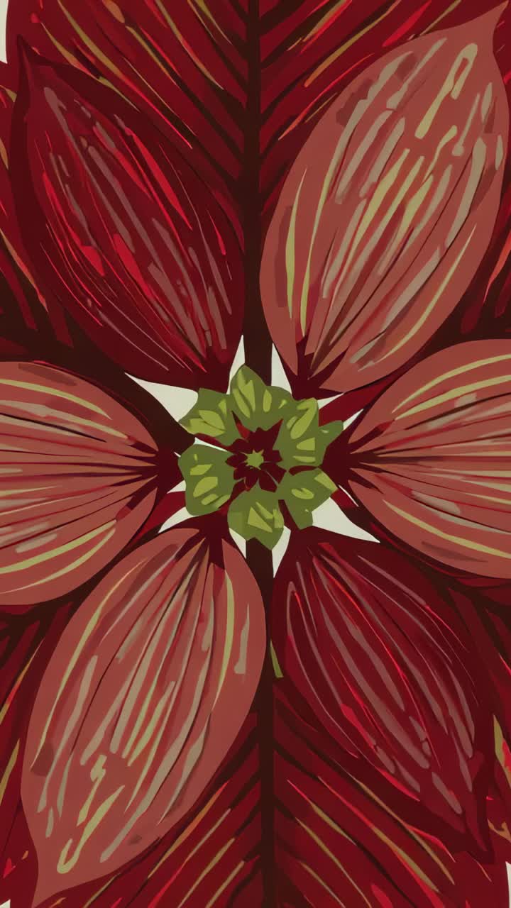Video verticale: fiore rosso a 5 petali che ruota e si sposta con una panoramica a zoom lento in uno studio con centro verde