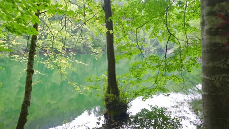 호수 전망.