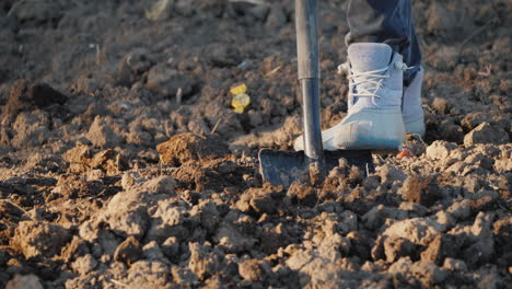 the woman farmer digs a vegetable garden only the legs in working shoes are visible in the frame