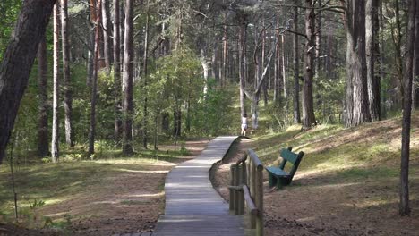 girl running away in the forest and dissapier