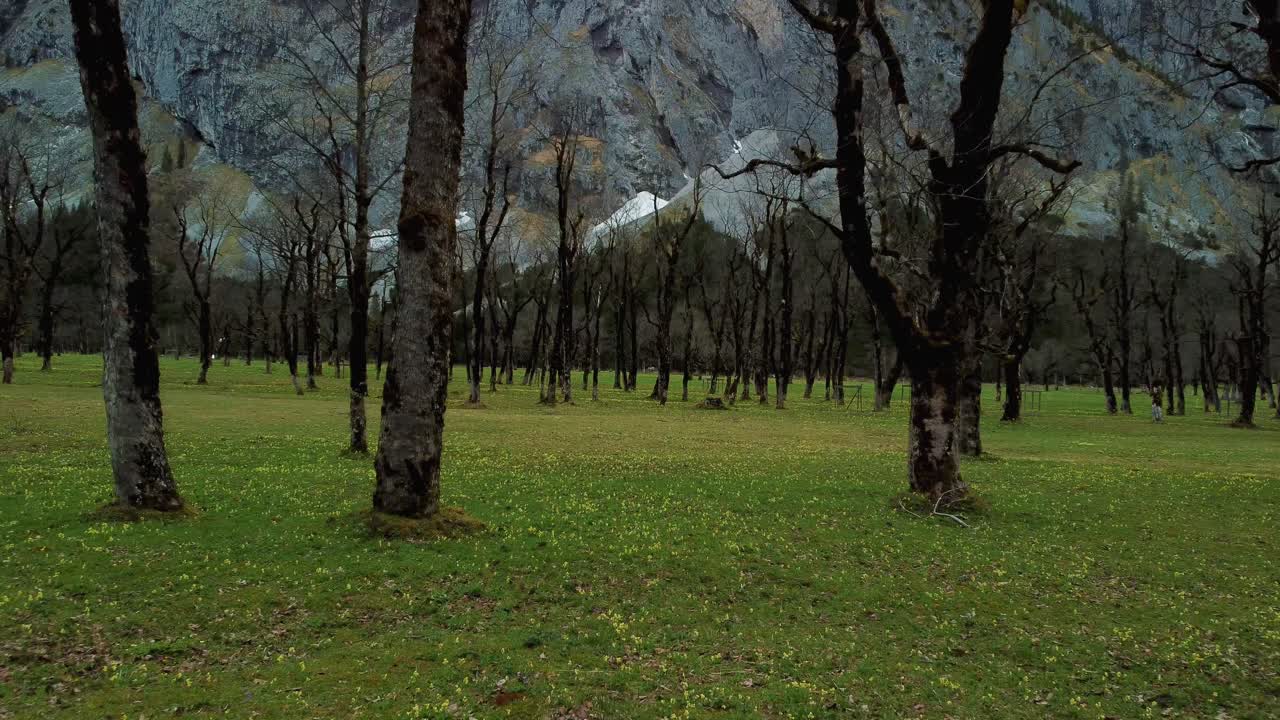 volar a través de un vuelo de drones a través de las ventanas abiertas de una furgoneta volkswagen vw t4 bulli en los pintorescos alrededores de ahornboden y rissach canyon mountain river en los alpes bávaros austríacos