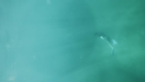 agile man snorkeling at the bottom of the ocean