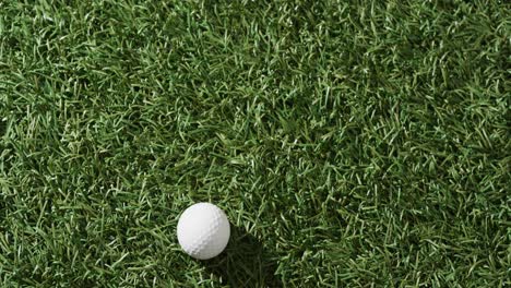 primer plano de una pelota de golf en el césped, espacio de copia, cámara lenta