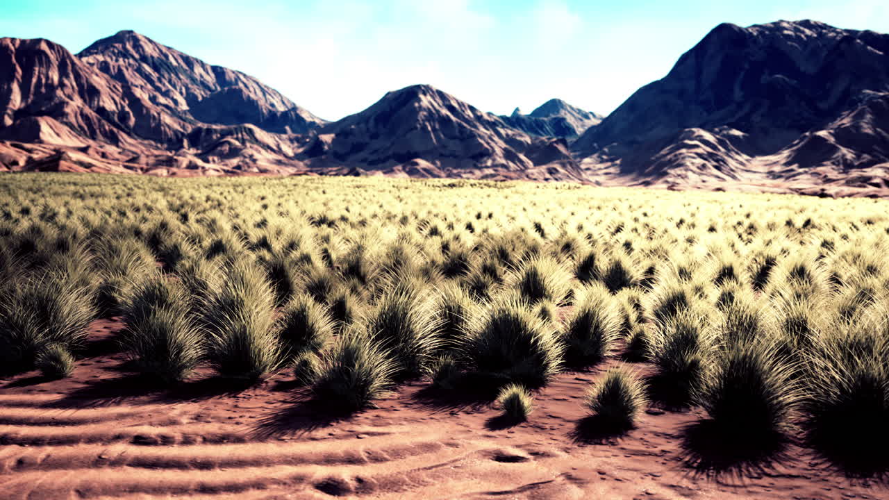 덤불 과 풀 이 있는 평평 한 사막