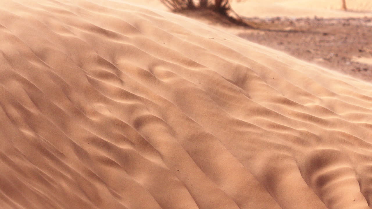 Vista ravvicinata di una duna di sabbia scolpita dal vento, che mostra texture fluide e morbide, ombre delicate e calde tonalità dorate che creano una superficie astratta naturale modellata dall'erosione, dal tempo e dal costante vento del deserto