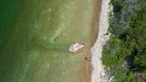 aerial down view of large rock along forested coastline, michigan, lake huron