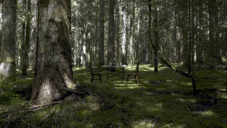 dining table in the middle of a fir forest