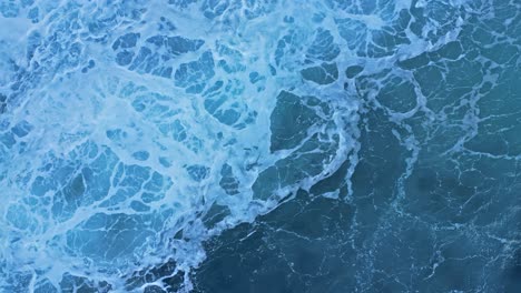 Waves-crashing-over-rocks-with-sea-lions-trying-to-get-to-shore,-drone-camera-pans-up-in-La-Jolla,-California-during-king-tide