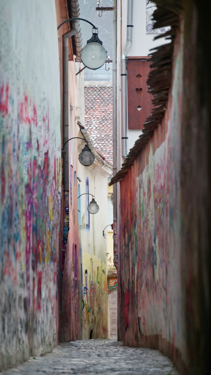 Grafitti on the Rope Street in Brasov, Romania. Vertical