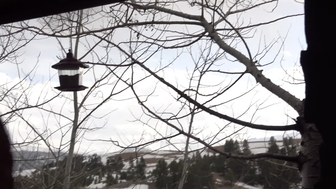 아름다운 겨울 전망을 자랑하는 통나무 집의 계단을 오르다