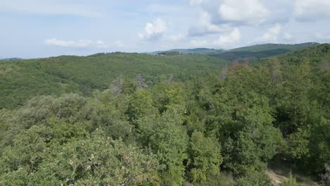 aerial, upwards over the forested hills in the chianti region