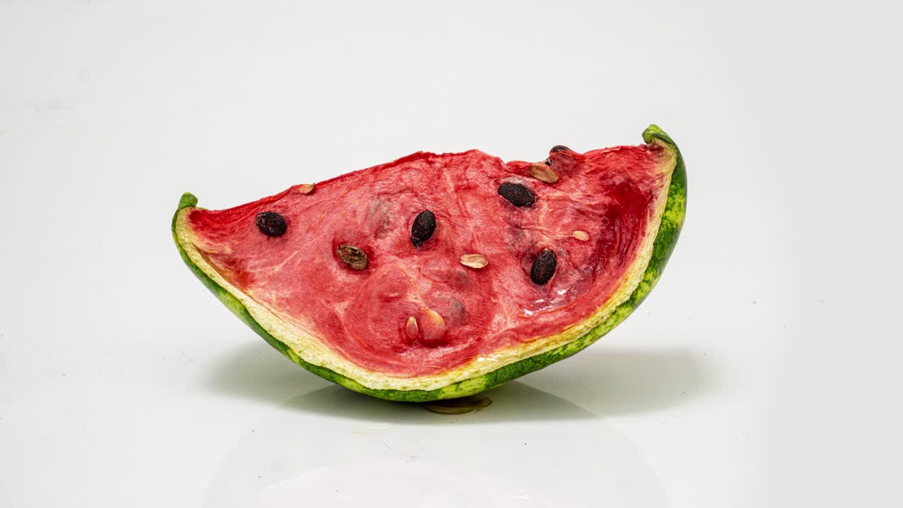 un pedazo de sandía madura podrida sobre un fondo blanco, lapso de tiempo, video cognitivo educativo
