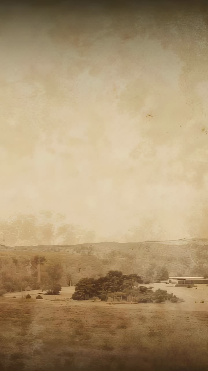 Vertical video: Moving camera during drive, capturing rural horizon with trees, farms, poles, sepia