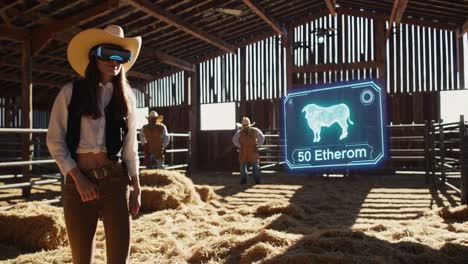 virtual reality cattle management in a barn