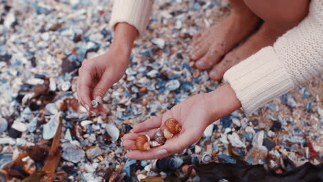 Hände,-Frau-Und-Muschelsammlung-Am-Strand