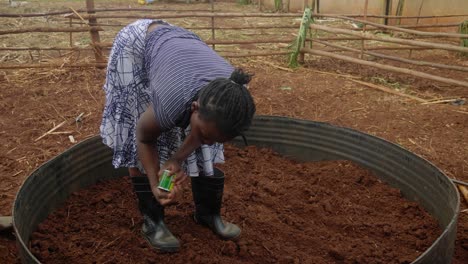 african woman with boots on planting tomato seeds in vegetable bed in rural africa