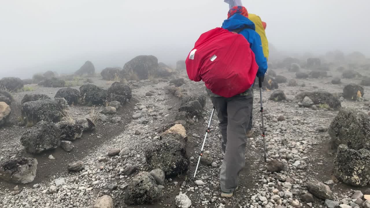 Back view of tourists with backpacks walking step by step through the wasteland