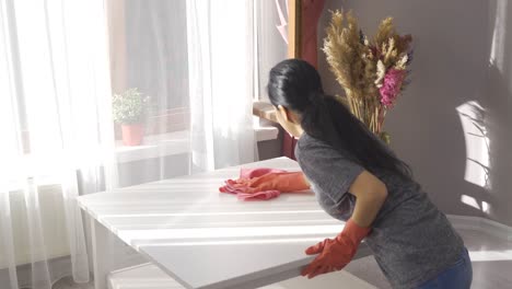 la limpieza de la casa, el uso de guantes.