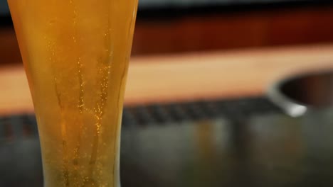 close-up of chilled beer in glass