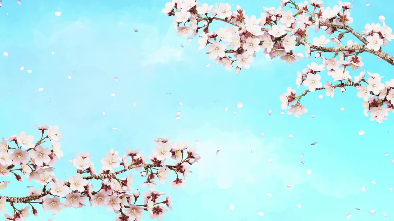 꽃이 피는 체리 나무 가지가 바람에 흔들리는 애니메이션, 파도