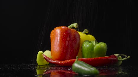 Colorful Peppers with Water Droplets