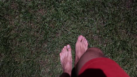 bare feet walking on green grass