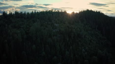 sunset sun rays flit through trees growing on mountain wilderness