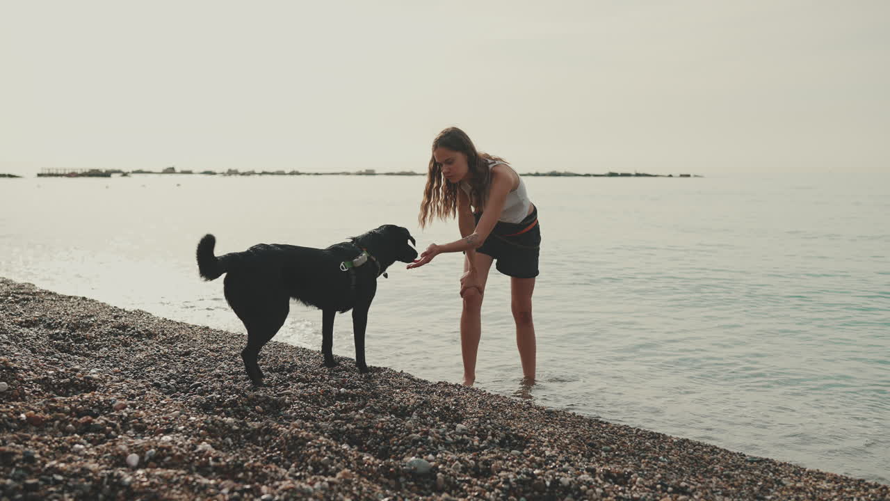 Woman and Dog Enjoying a Day at the Beach