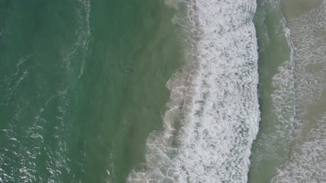 olas de mar de coral salpicando en la costa de palm beach en gold coast, queensland, australia en un día soleado de verano