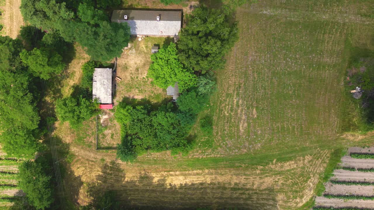 Forme geometriche astratte di parcelle agricole di colture diverse nei colori giallo e verde