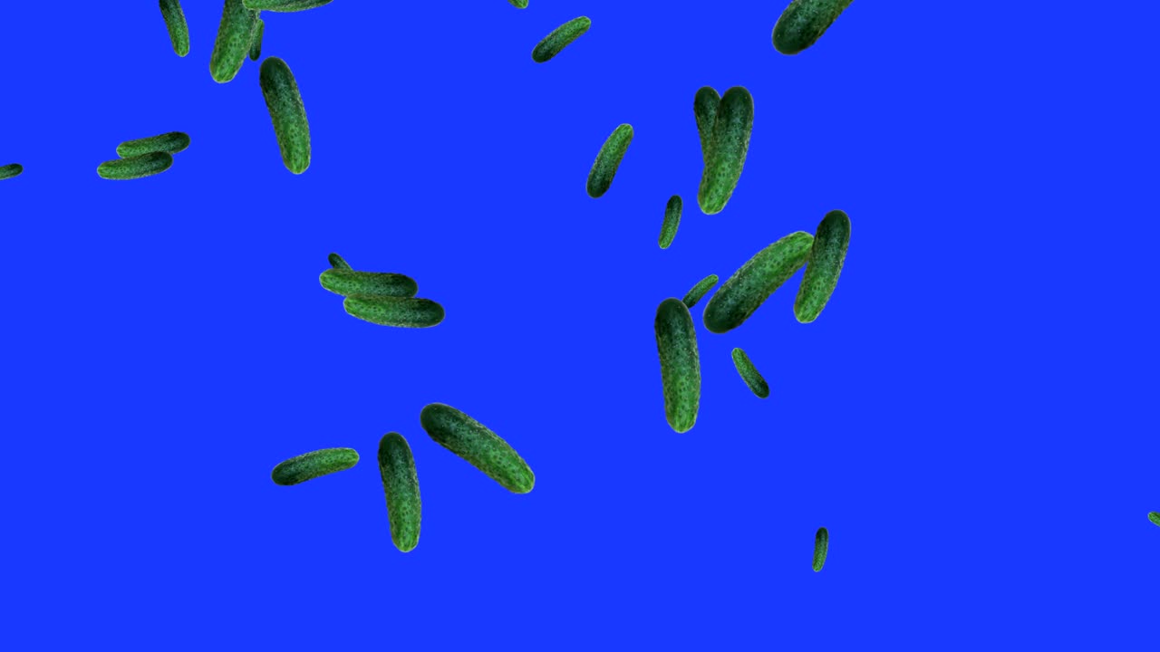 채소가 떨어지는 애니메이션 크로마 키 요소 루프, 마늘