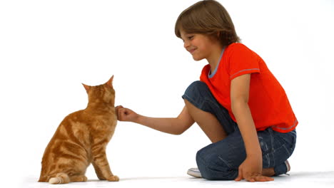 un niño lindo con un gato de mascota