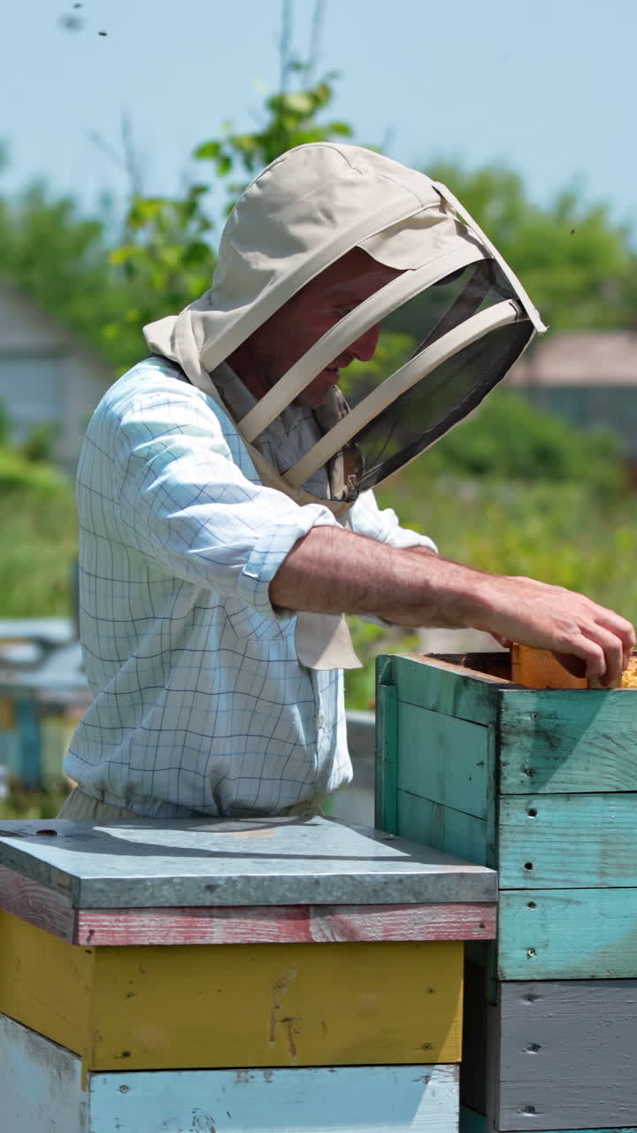 Apicoltore al lavoro con il favo. Uomo in tuta protettiva che lavora in un apiario. Video verticale.