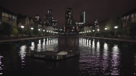 a view of canary wharf in the night from clippers quay with a swan resting on the wood tern raft and ducks swimming in the background