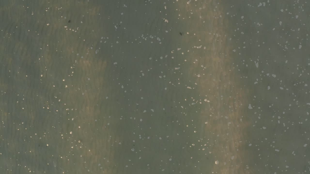 la ola rueda hacia la costa a la orilla del mar disipando la espuma en la superficie