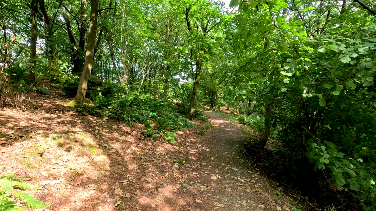 스코틀랜드의 스털링 (stirling) 에 있는 조용한 숲길