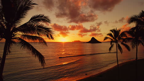 Beautiful-reverse-reveal-of-palm-trees-and-china-mans-hat-at-sunrise-in-Hawaii