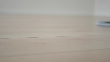 cleaning a light wooden floor with a mop