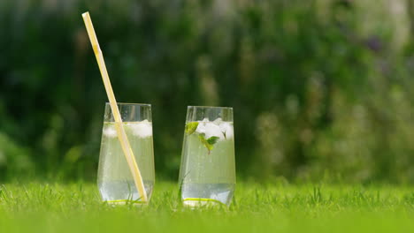 summer cocktails on grass