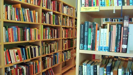 A-Rack-of-Books-Arranged-in-a-Local-Library