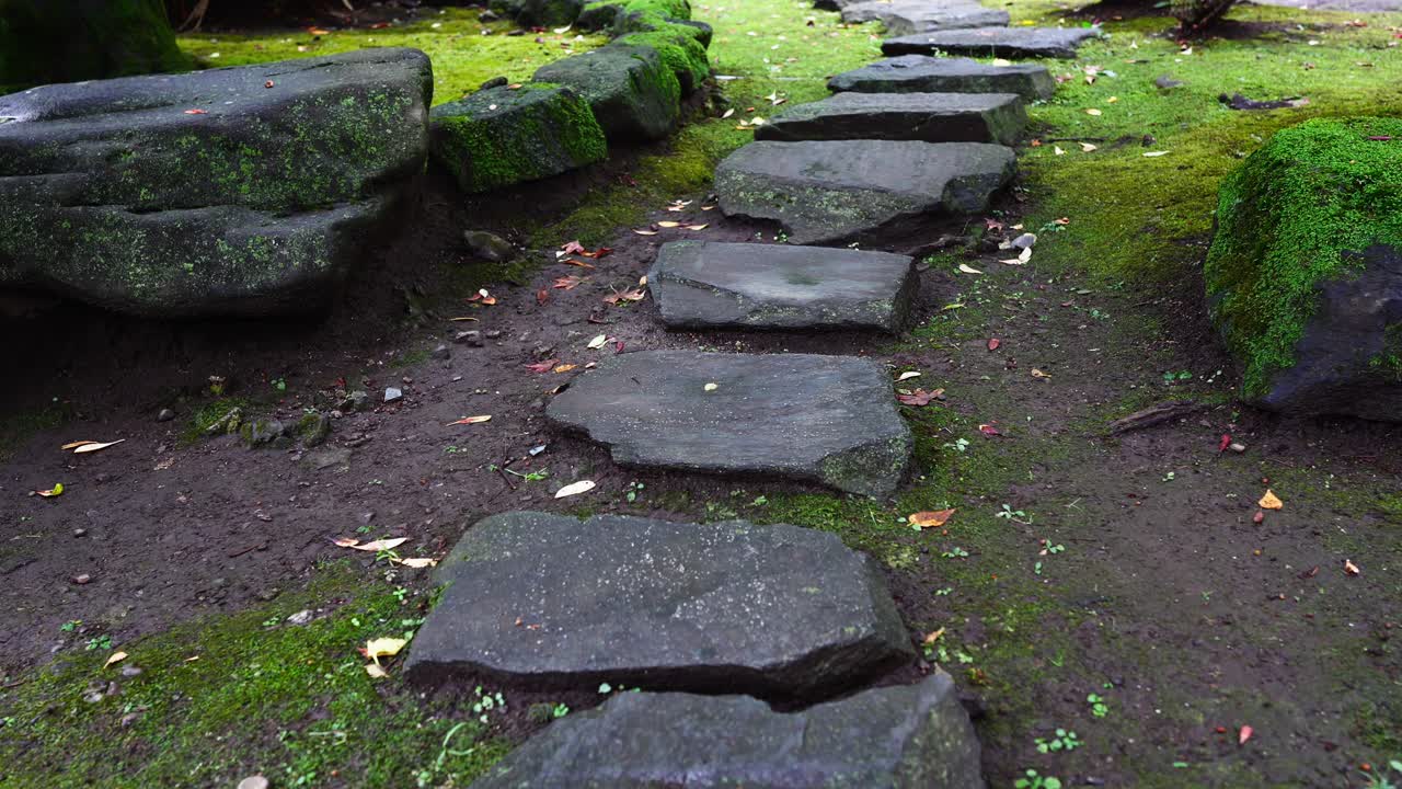 A close-up of a mossy stepping stone path through a serene and traditional Japanese garden
